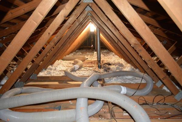 Attic Elite