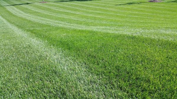 Zach's Lawn Care