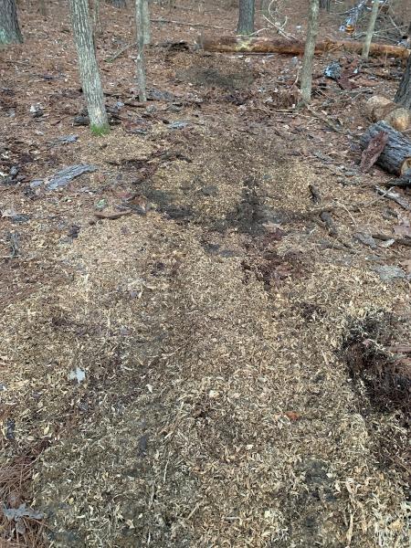 Rice's Stump Grinding