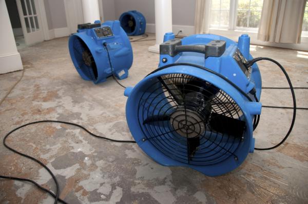 Delta Restoration Services