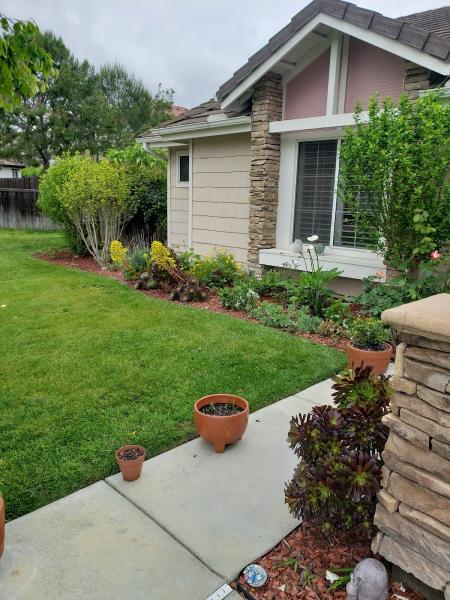 Commercial & Residential Yard Maintenance