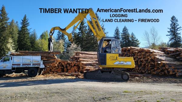American Forest Lands Washington Logging Company LLC