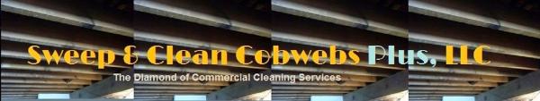 Sweep & Clean Cobwebs Plus