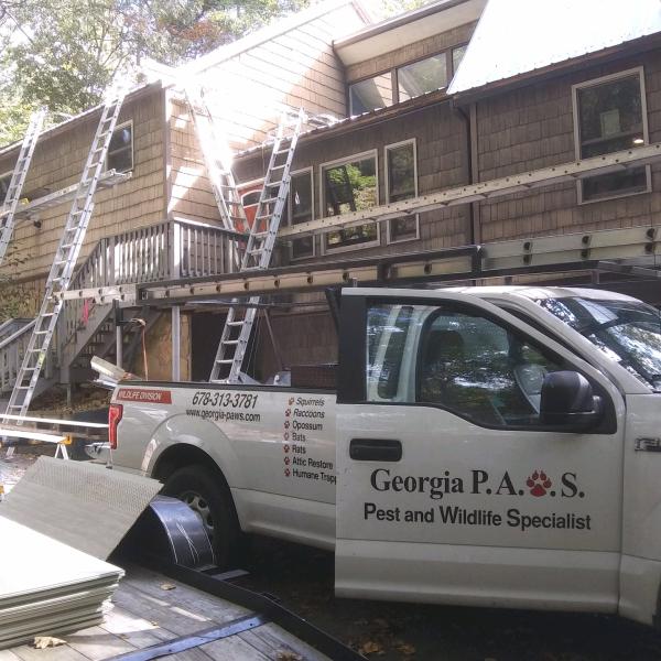 Georgia P.a.w.s (Pest and Wildlife Specialists)