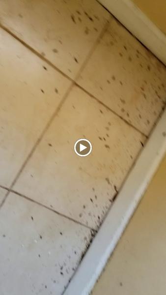 Mr Roland Pest Control