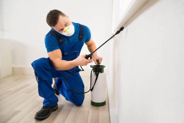 Mr Roland Pest Control