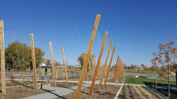 Greater Western Fence LLC