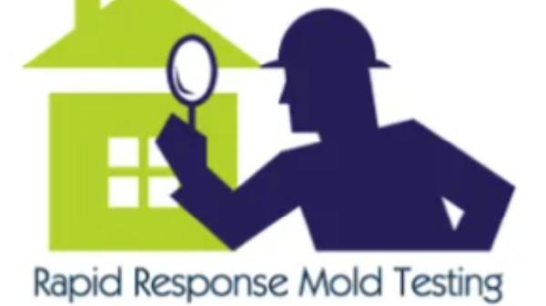 Rapid Response Mold Testing