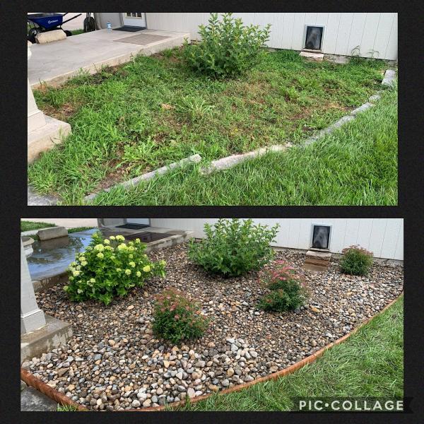 Premier Lawn Services