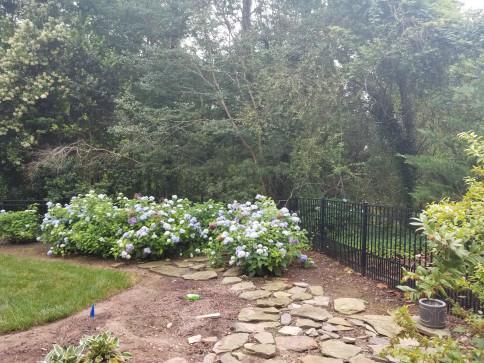 Raleigh Lawn Care