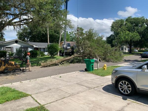 J&j's Lawn and Tree Service Inc.