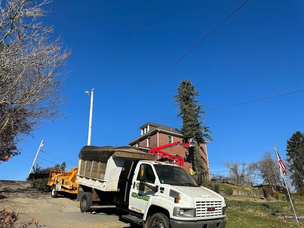 Murray's Tree Service