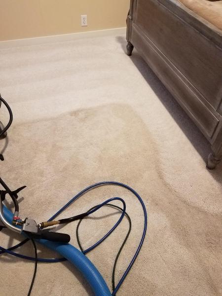 Revive Carpet Services