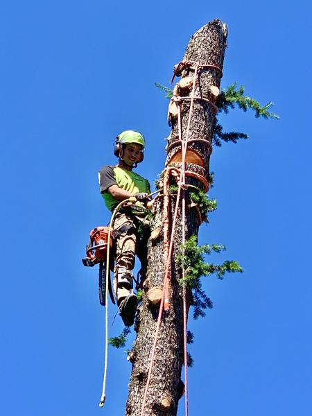 Rootbound Arborists