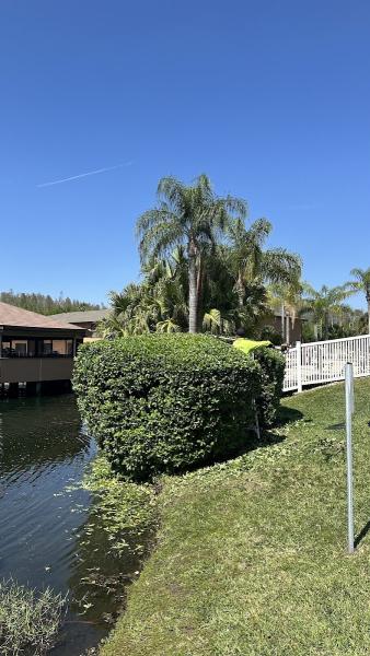 Green & Más Landscape Services
