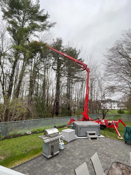 Gerard Tree Service