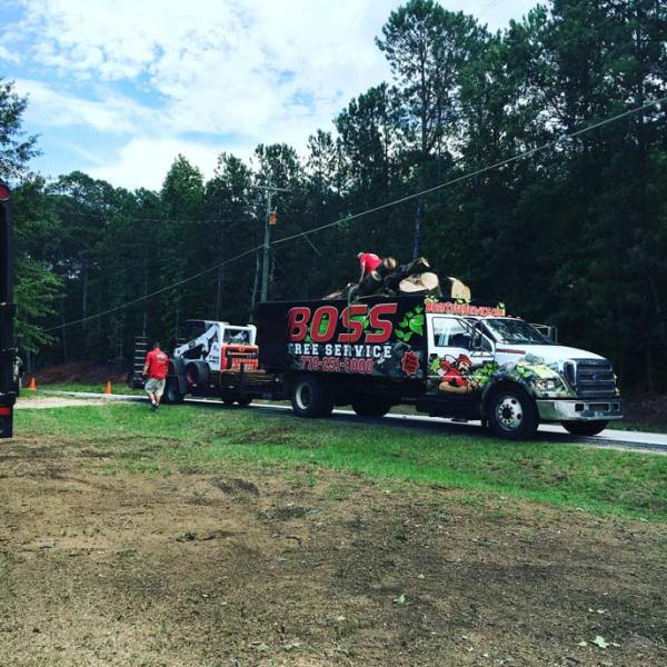 Boss Tree Service
