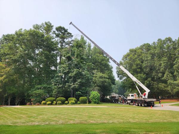 Boss Tree Service