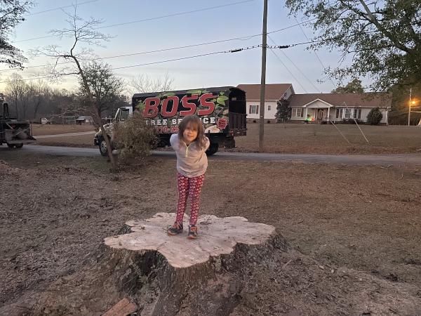 Boss Tree Service
