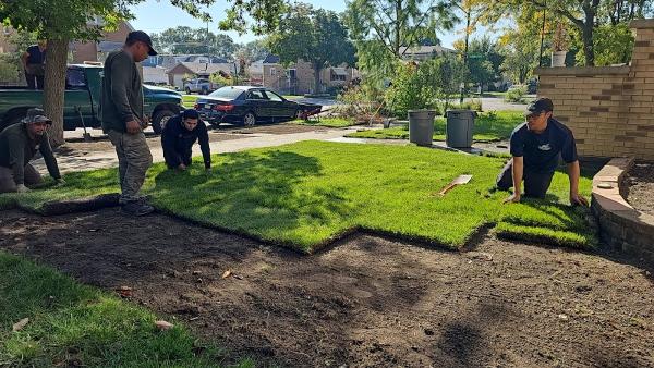 MT Lawncare Services