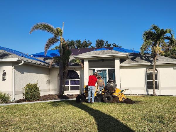 Southwest Tree Service LLC