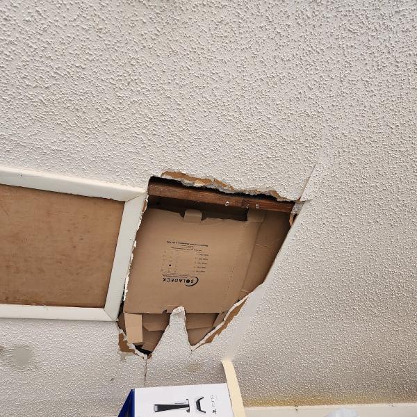 Tampa Drywall