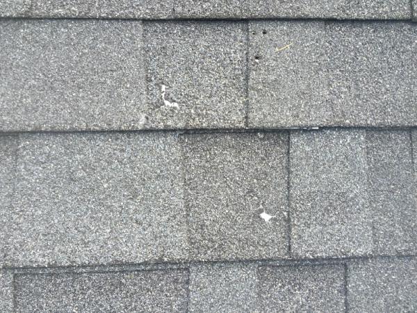 Florida State Home Inspectors