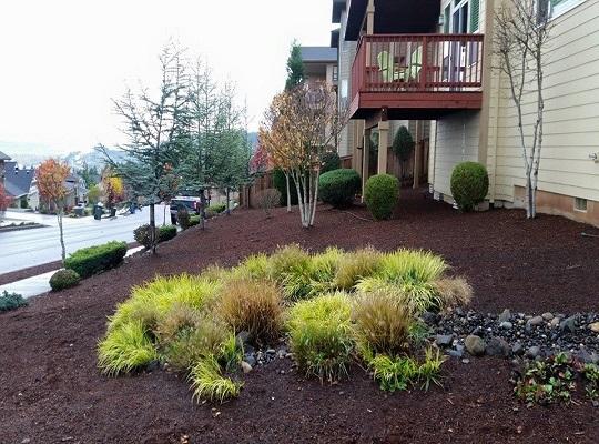 Urban Eden Landscaping