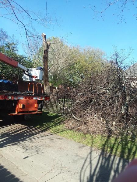 Bullseye Tree Service
