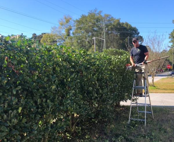 Matt's Lawn Care & Landscaping LLC
