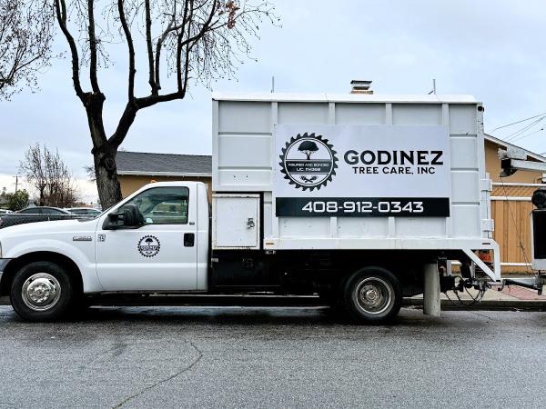 Godinez Tree Care