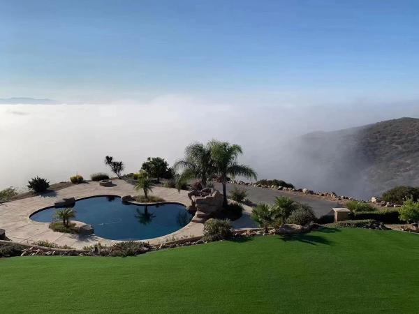 Sun Turf Inc