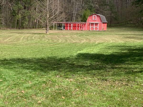 Apollo Lawn Care LLC