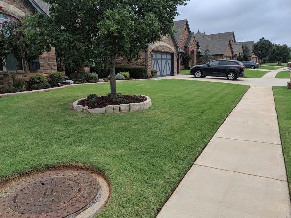 Iron Edge Lawn Care