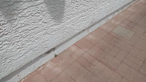 Abiding Pest Control
