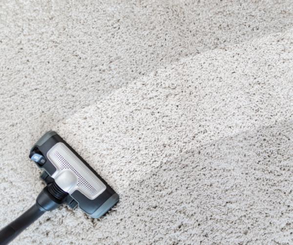 Pasco Carpet Cleaning