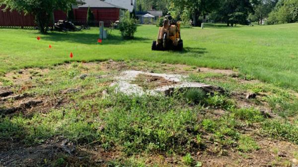 Affordable Stump Removal Llc