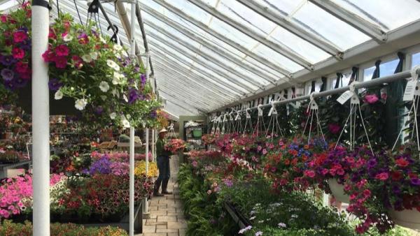 Cottage Gardens