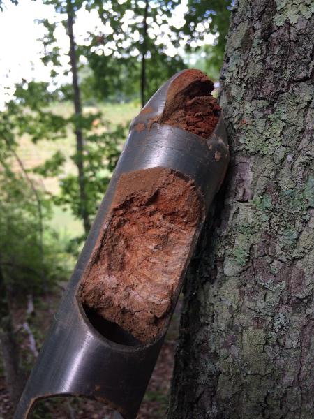 RSP Environmental