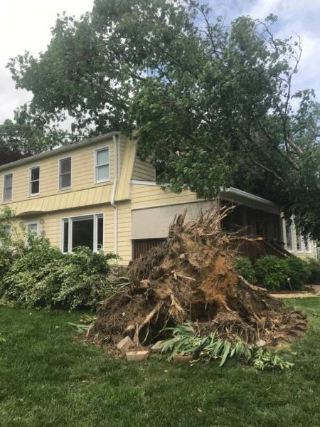 Spartan Construction and Tree Service