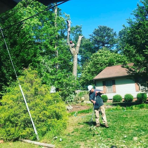Spartan Construction and Tree Service