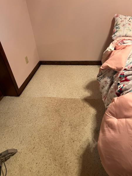 Triad Clean Team