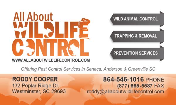 All About Wildlife Control LLC