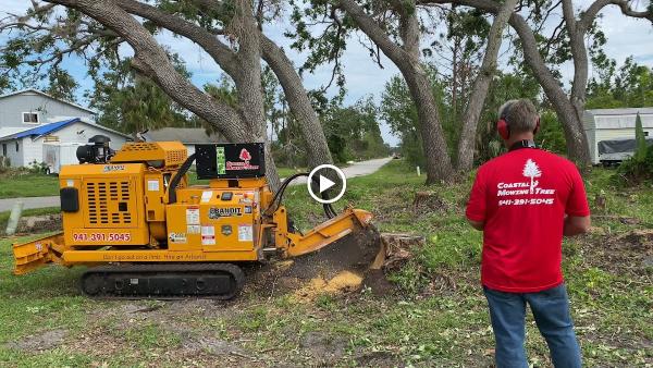 Coastal Mowing & Tree