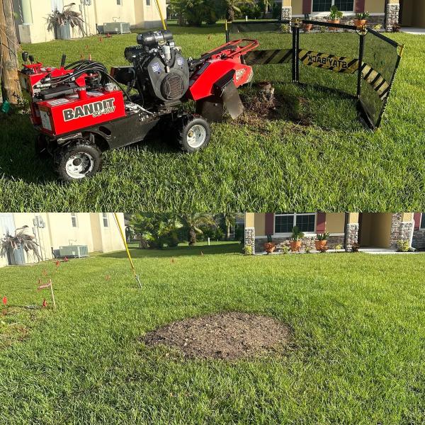 Coastal Mowing & Tree