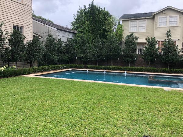 Safari Pool Company