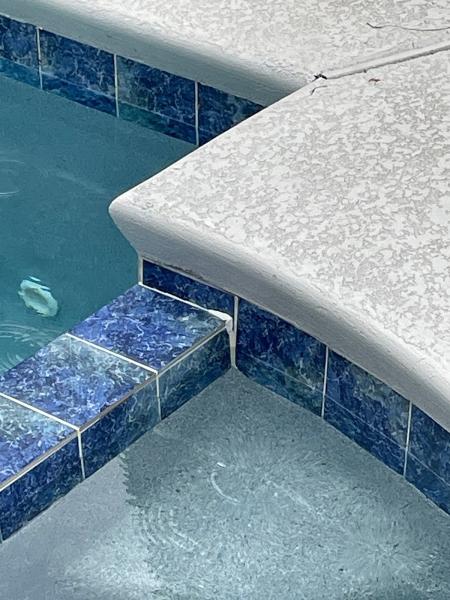 Safari Pool Company