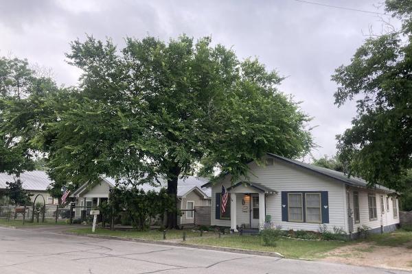 Branch Office Tree Care