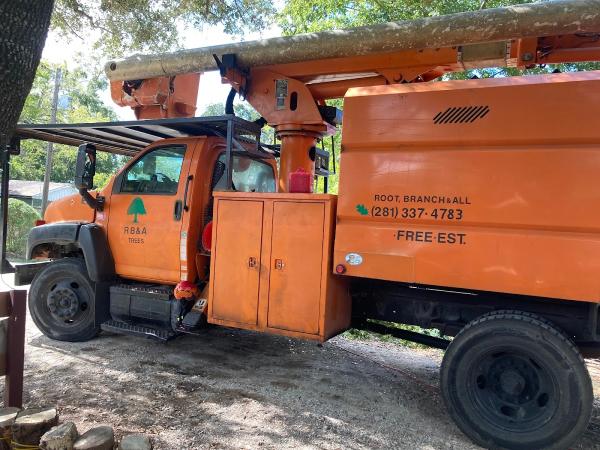 Root Branch N' All Tree Service