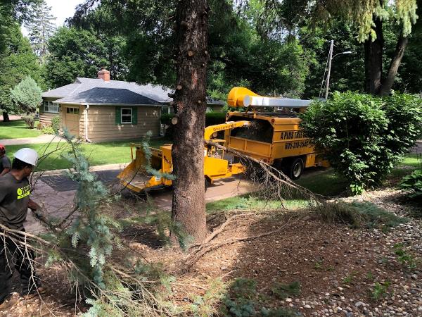 A Plus Tree Service Sioux Falls
